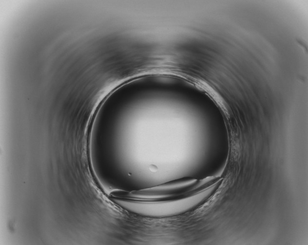 X0000094931004200711291330
