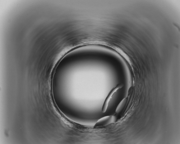 X0000094931005200711291330