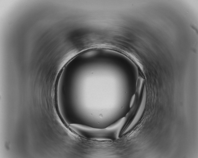 X0000094931007200711291330