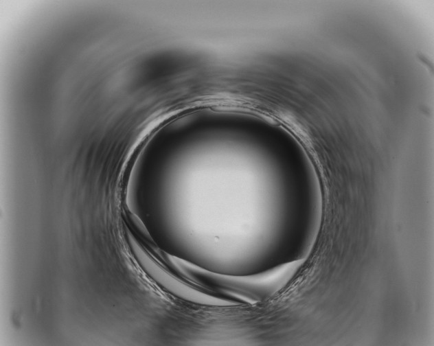 X0000094931008200711291330