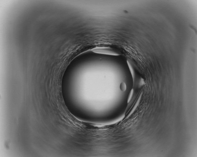 X0000094931009200711291330
