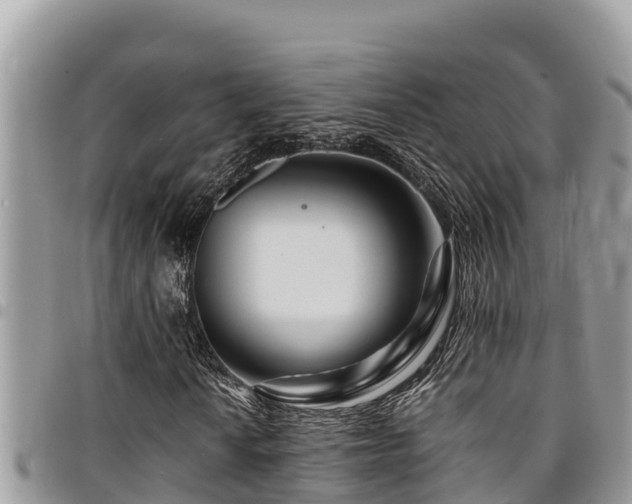 X0000094931010200711291330