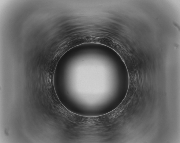 X0000094931013200711291330