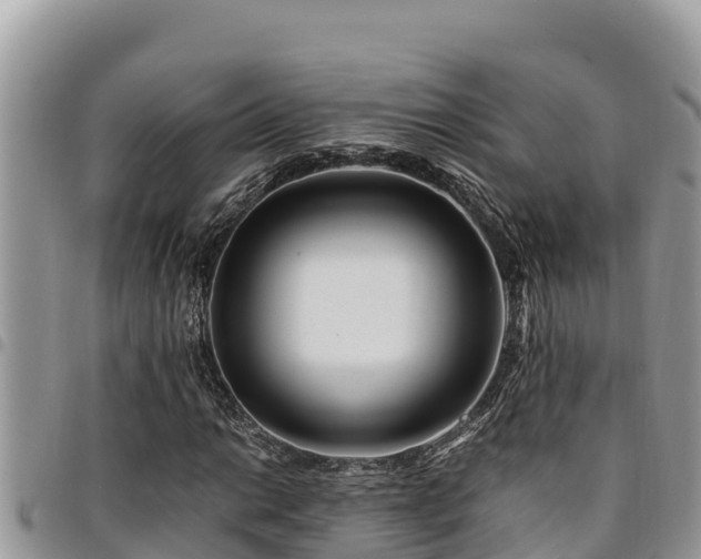 X0000094931014200711291330