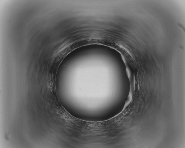 X0000094931015200711291330