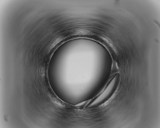 X0000094931017200711291330