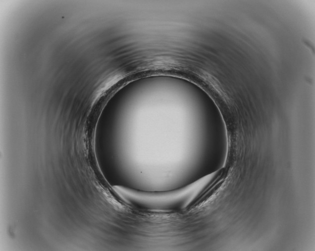 X0000094931018200711291330