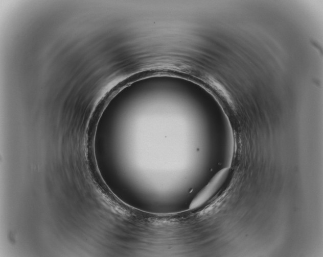 X0000094931020200711291330
