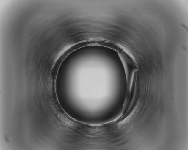 X0000094931021200711291330
