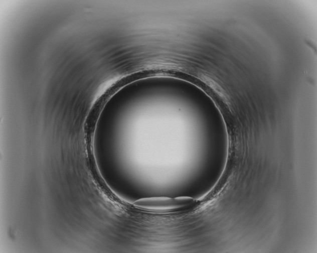 X0000094931022200711291330