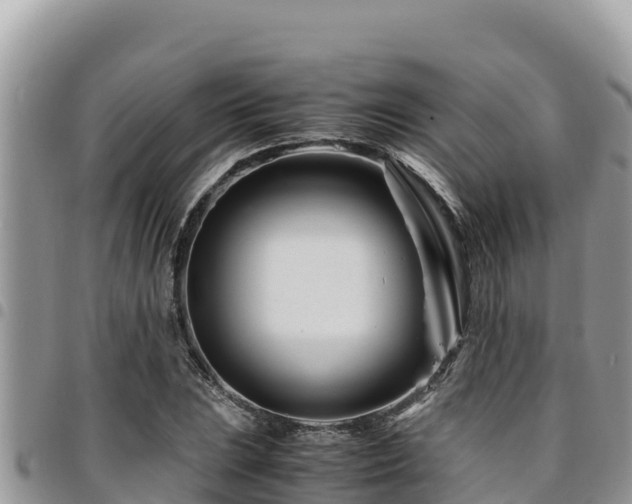 X0000094931023200711291330
