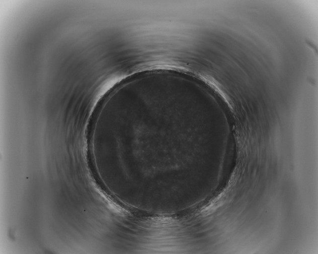 X0000094931024200711291330