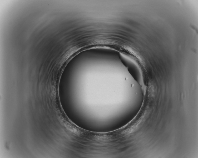 X0000094931025200711291330