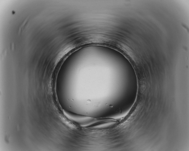 X0000094931026200711291330