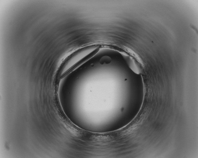 X0000094931027200711291330