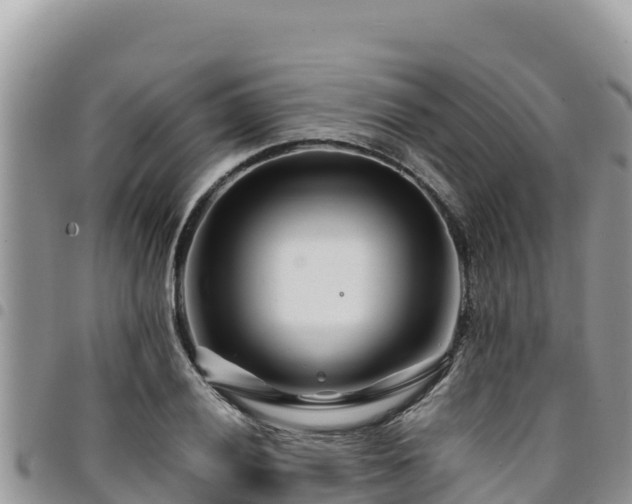 X0000094931028200711291330