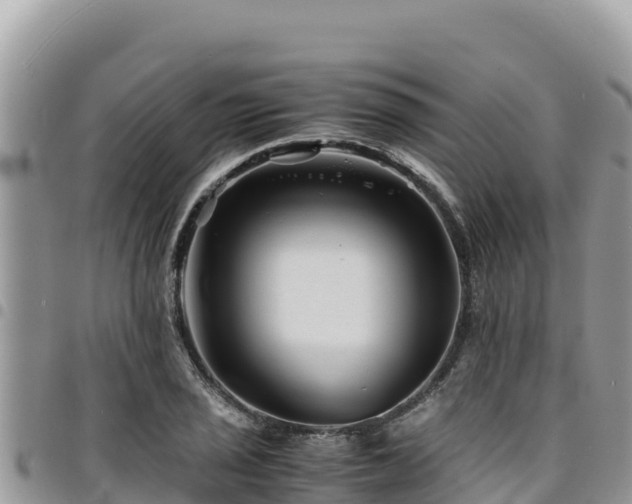 X0000094931029200711291330