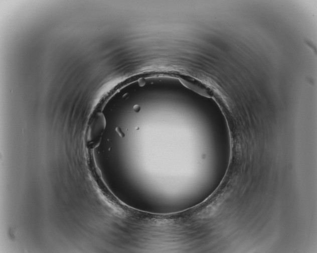 X0000094931030200711291330