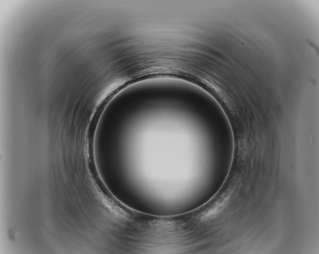 X0000094931034200711291330