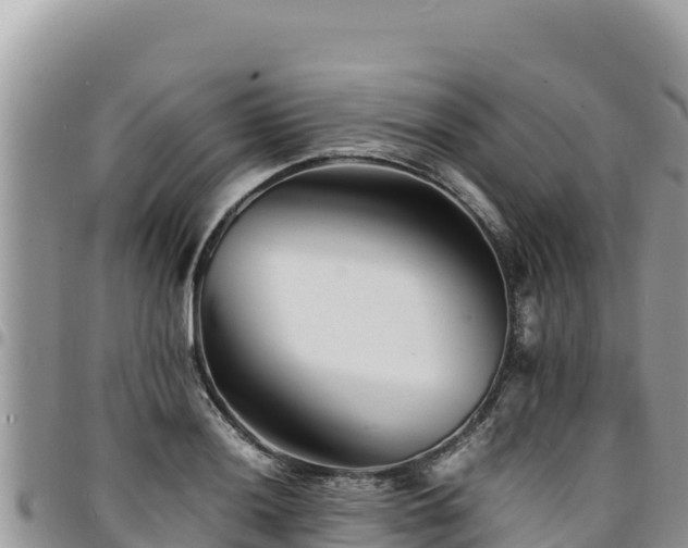 X0000094931036200711291330