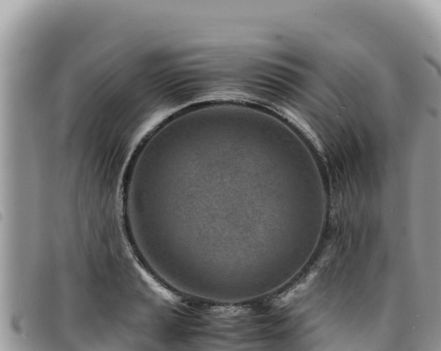 X0000094931037200711291330