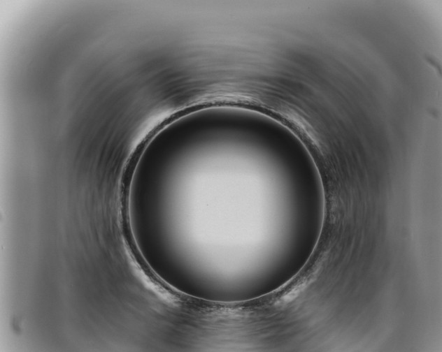 X0000094931038200711291330