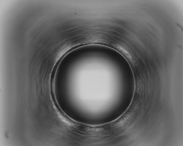 X0000094931039200711291330