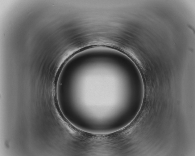 X0000094931040200711291330