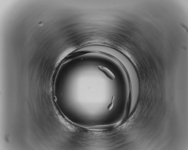 X0000094931042200711291330