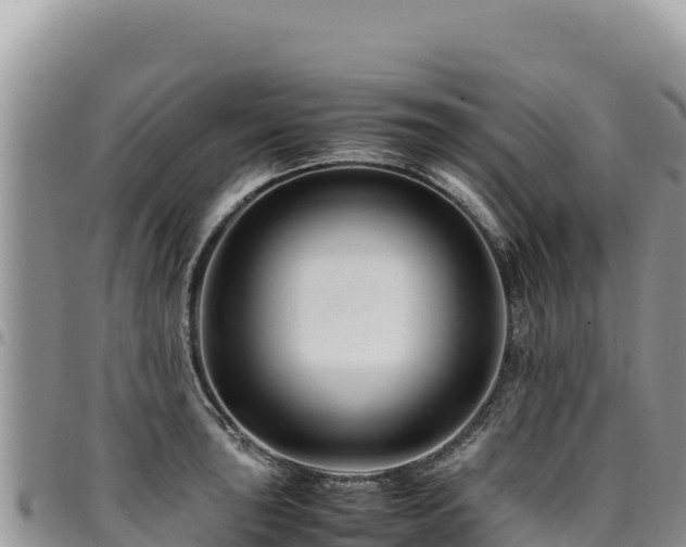 X0000094931043200711291330