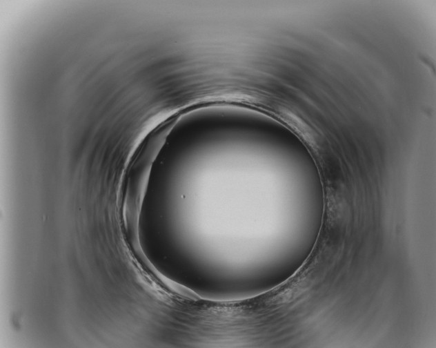 X0000094931044200711291330