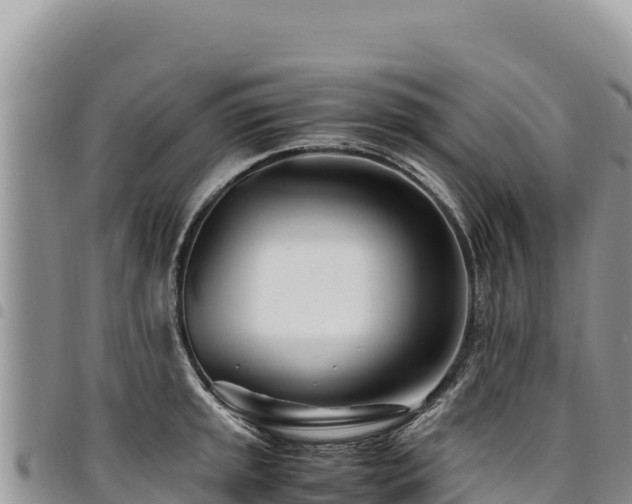 X0000094931045200711291330