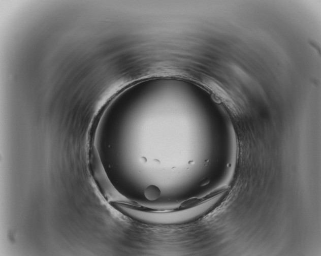 X0000094931046200711291330