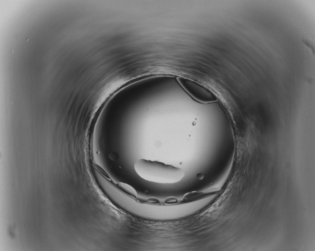 X0000094931048200711291330