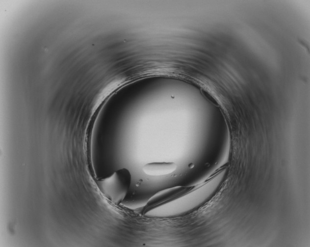 X0000094931050200711291330