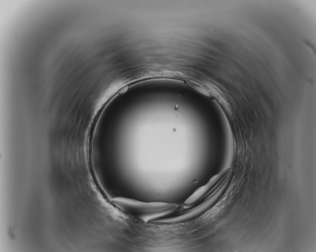 X0000094931054200711291330