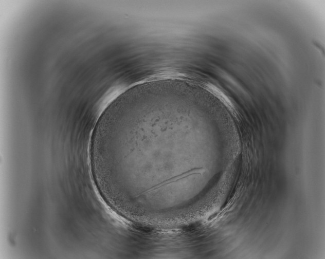 X0000094931055200711291330
