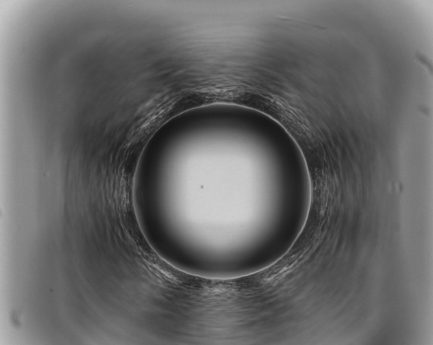 X0000094931058200711291329