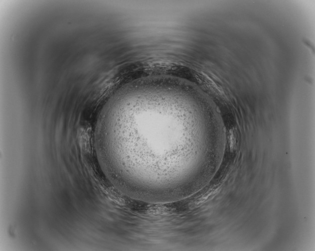X0000094931059200711291329