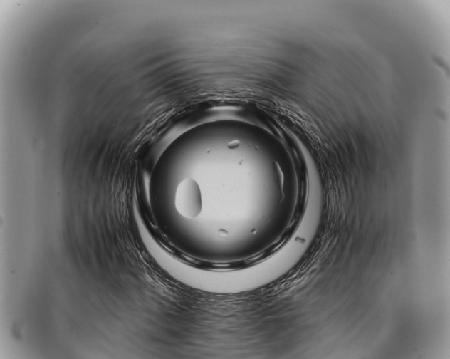 X0000094931060200711291329