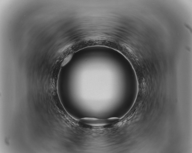 X0000094931062200711291329