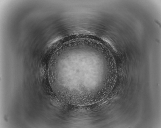 X0000094931063200711291329
