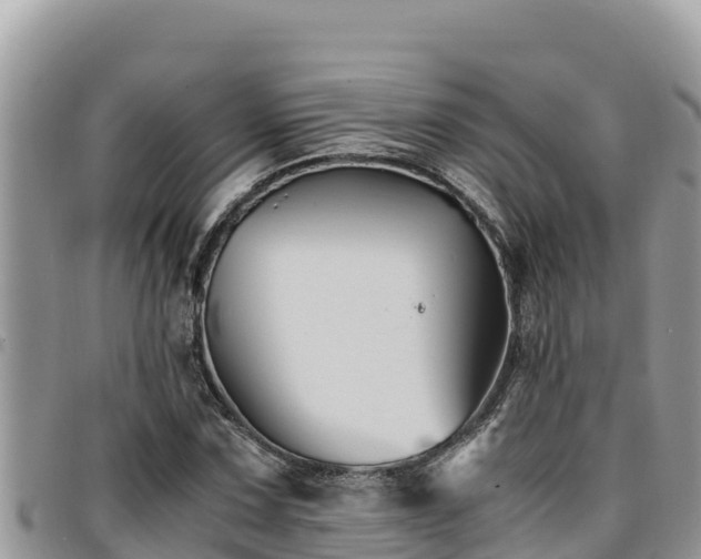 X0000094931067200711291329