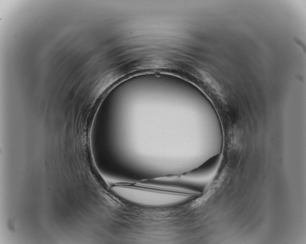 X0000094931073200711291329