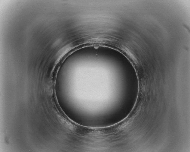 X0000094931075200711291329