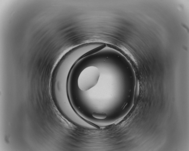 X0000094931076200711291329