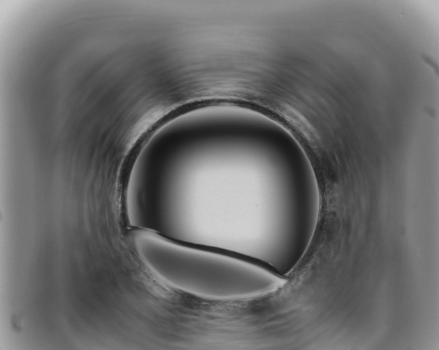 X0000094931077200711291329