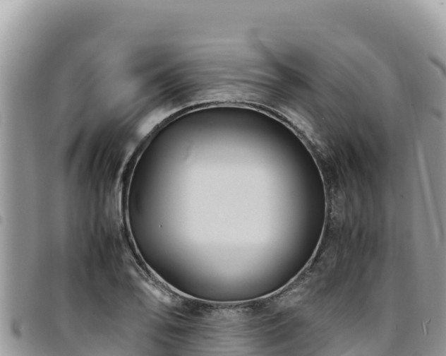 X0000094931078200711291329