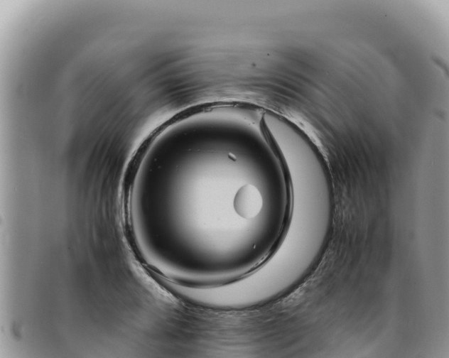 X0000094931080200711291329