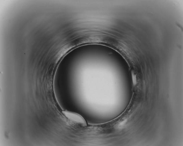 X0000094931081200711291329